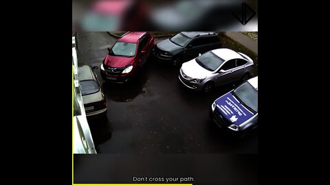 Ultimate Parking Fails