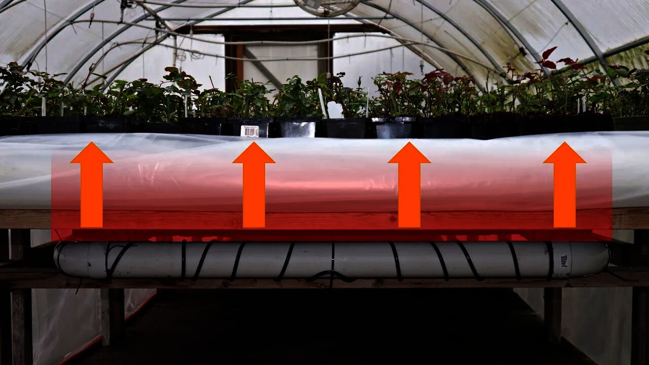 Under Bench Heat Project: Protecting Our Young Plants from Cold