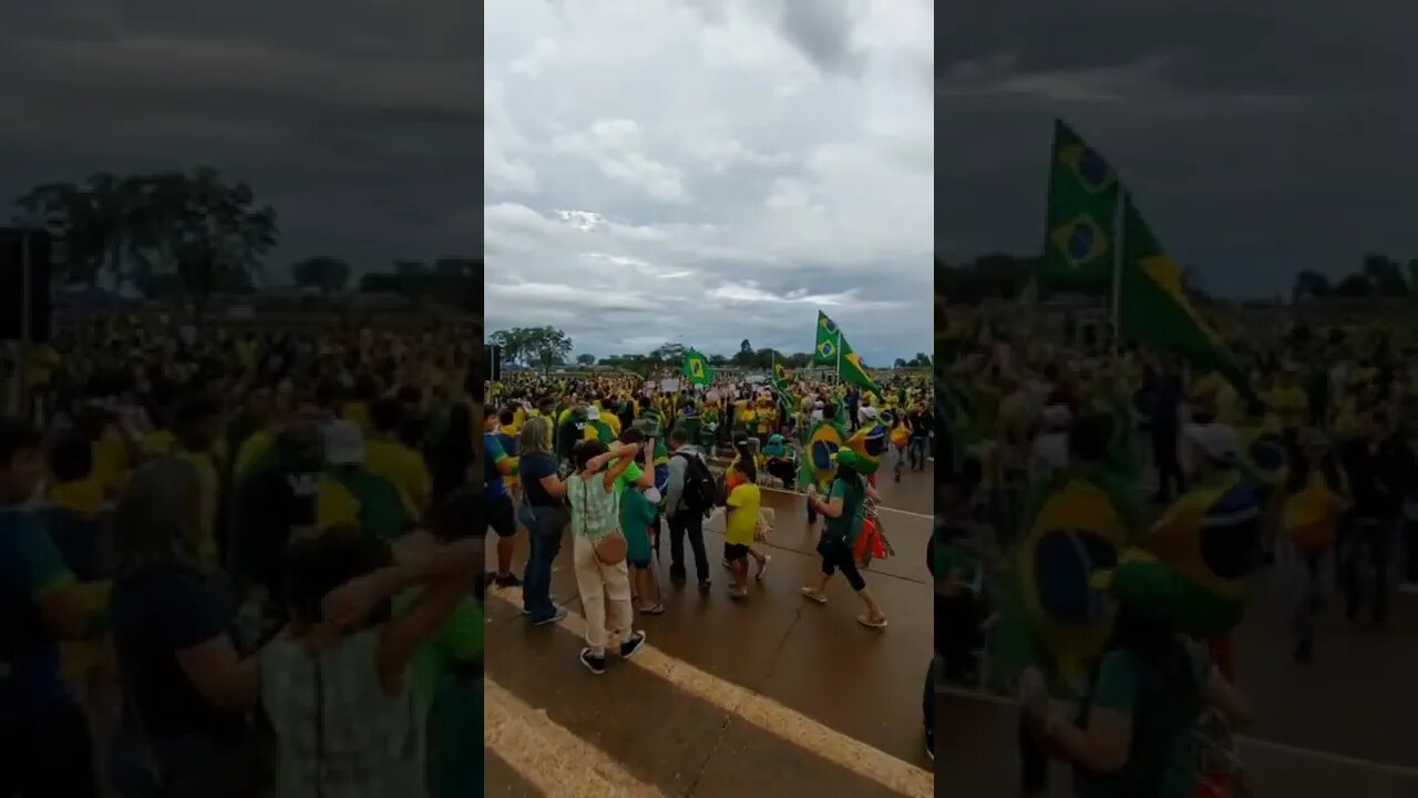 video 2022 11 15 19 43 03