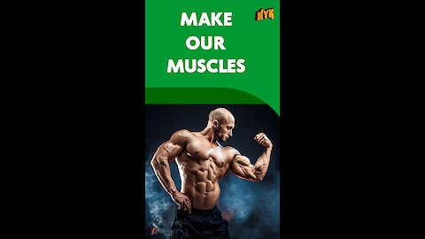 How Does The Muscle Grow