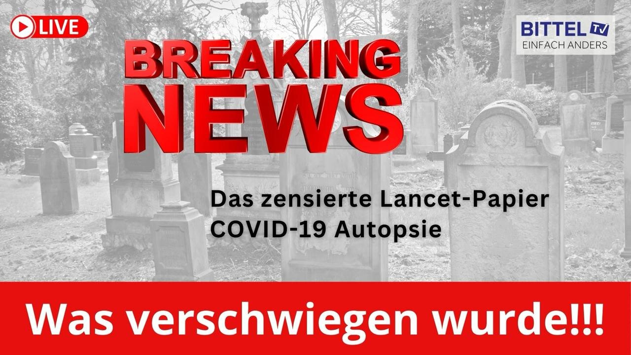 Breaking News - Was verschwiegen wurde! - 19.11.2024