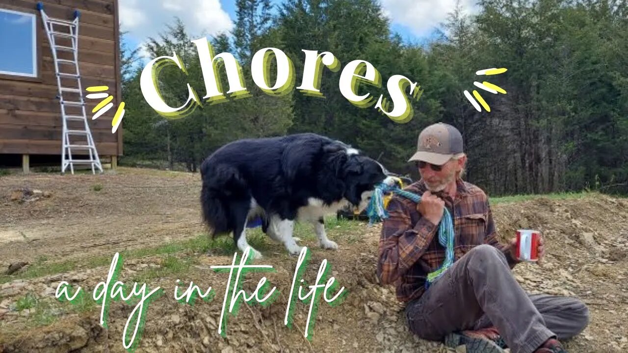 A Day on the Homestead: Embracing Chores and Sustainable Living