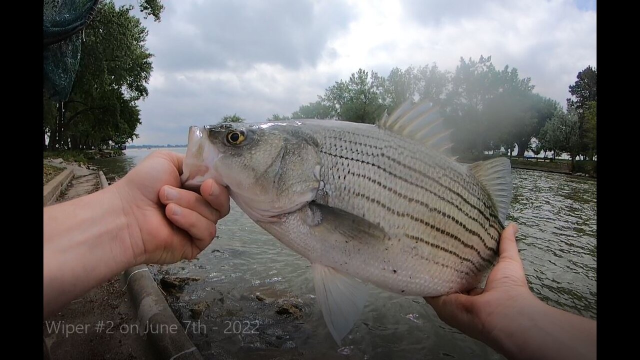 Wiper #2 - Johnson Lake Inlet - 6-7-2022