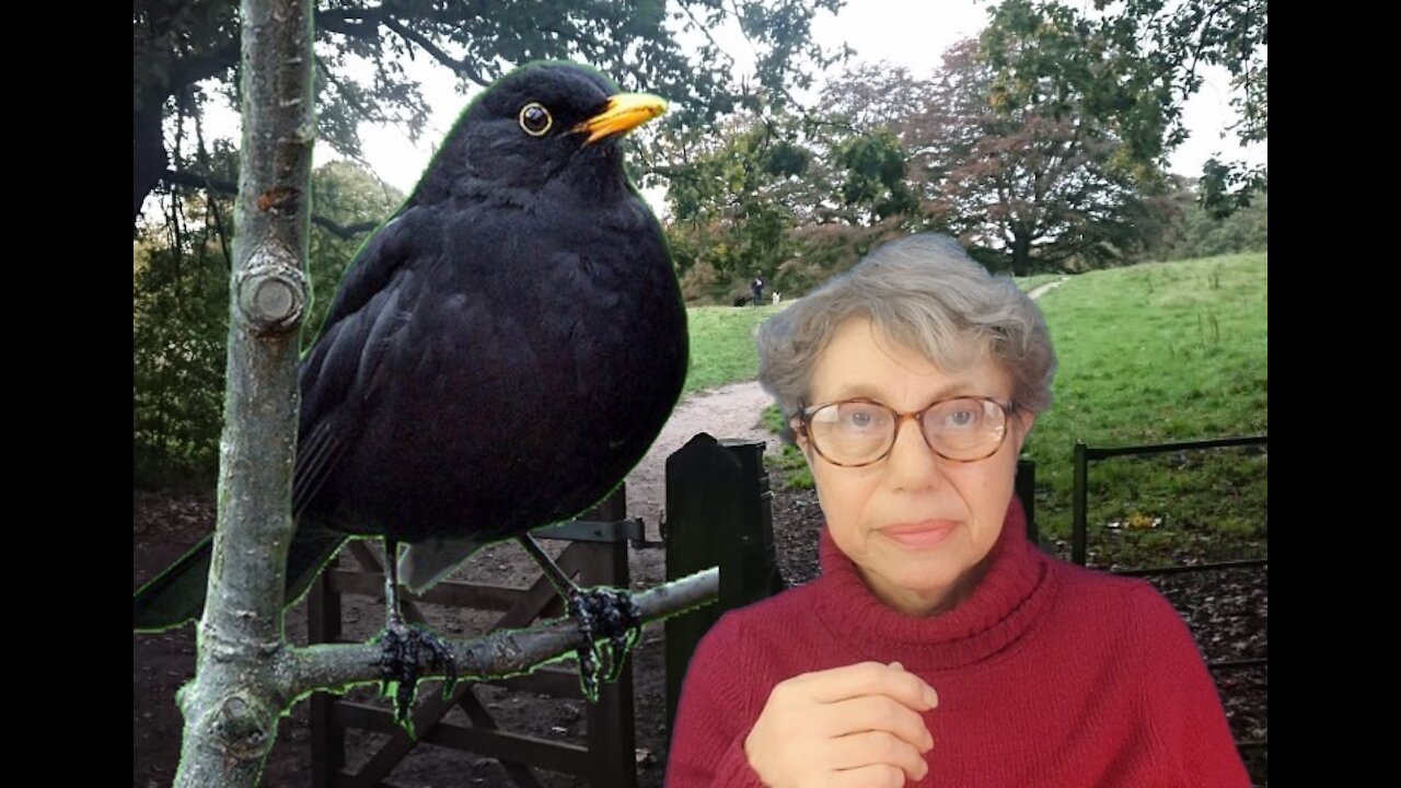 Happy Easter, Some Thoughts About Lockdown and the Song of Birds