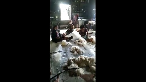 cotton making process