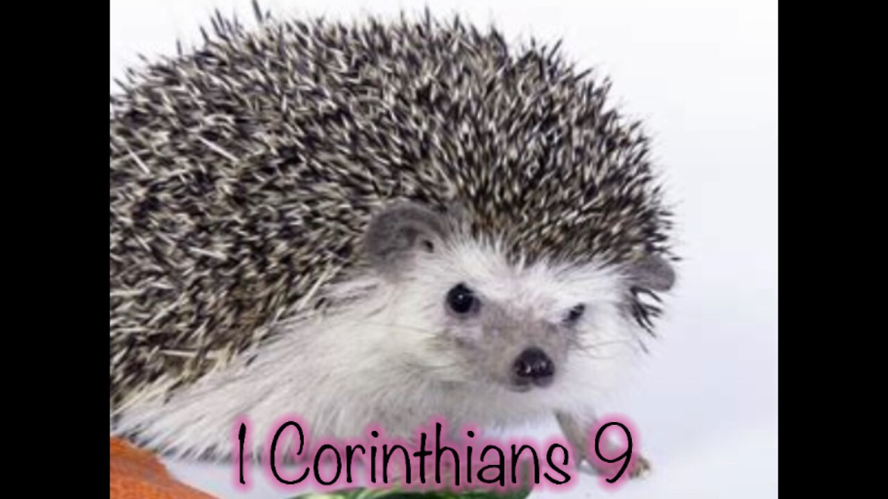 Read the Bible with me. 1 Corinthians 9