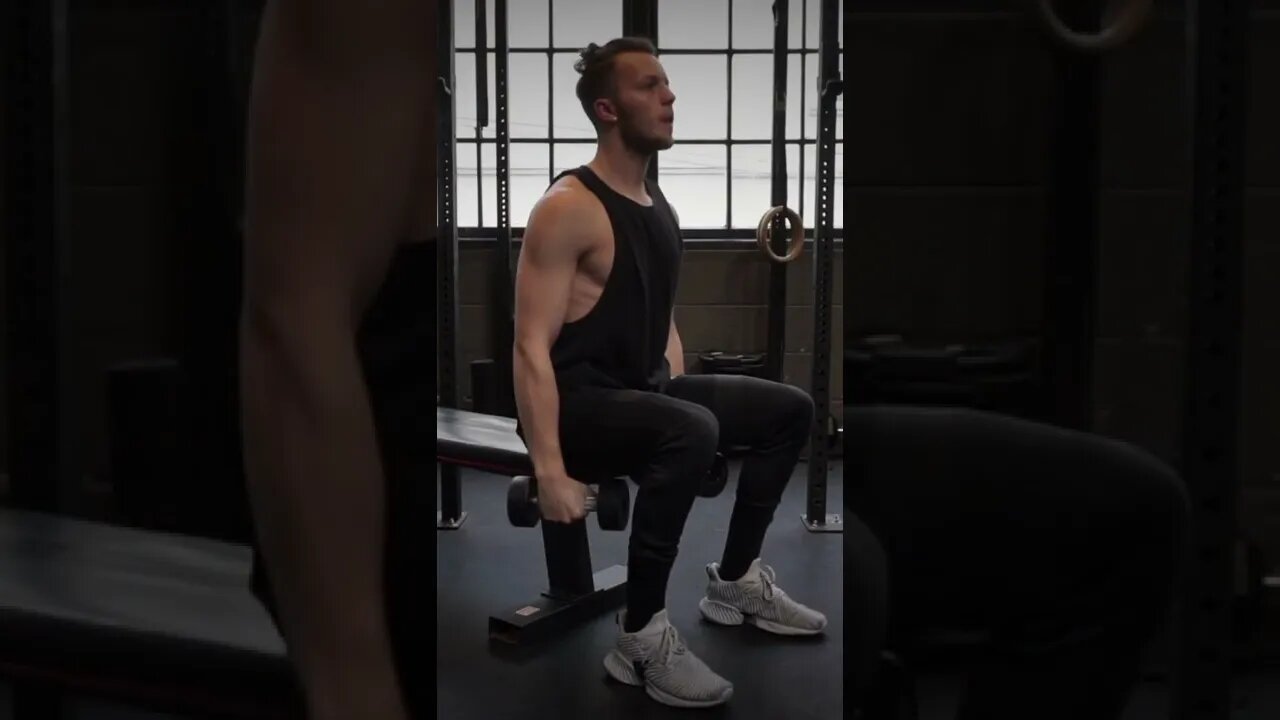 Lateral Raise Shoulder Exercise