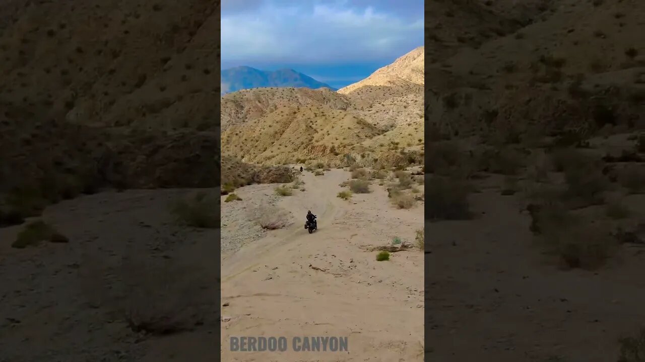 Berdoo Canyon Joshua Tree NP