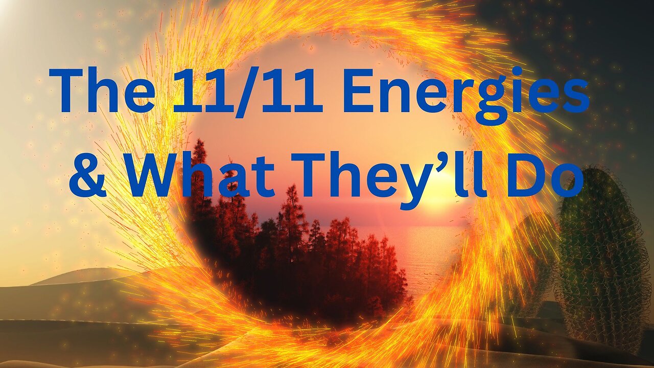 The 11/11 Energies & What They’ll Do ∞ Daniel Scranton ~ The 9D Arcturian Council 11- 08-24