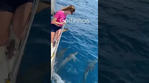 Golfinhos no litoral de São Mateus