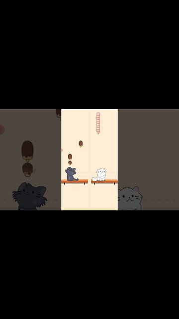 2 cats singing THUNDER part 1 #shorts #music #song