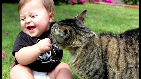 Cat: Cat And Baby Funny Video Compilation #2 | Funniest cats Videos Compilation |Funny Videos