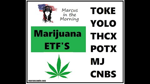 Marijuana ETF’s, George Floyd Highlights, TRUMP Censored from Facebook, Fauci-covid Mask nonsense