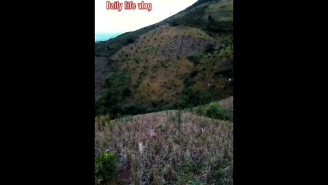 Majestic nature enters winter