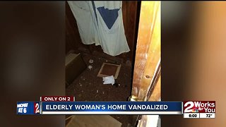 Elderly woman's home vandalized