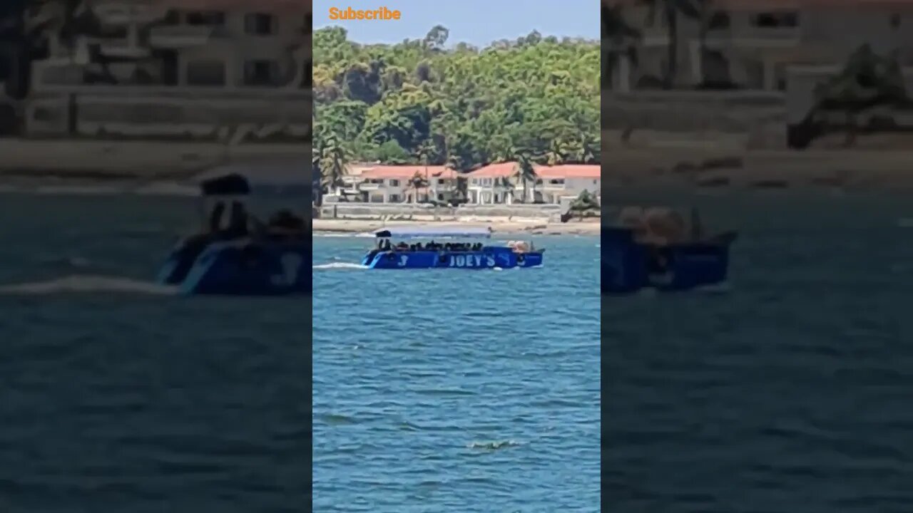 #goa #shortvideos #travel #goatourism #naturephotography #viral #youtubeshorts #shorts #nature