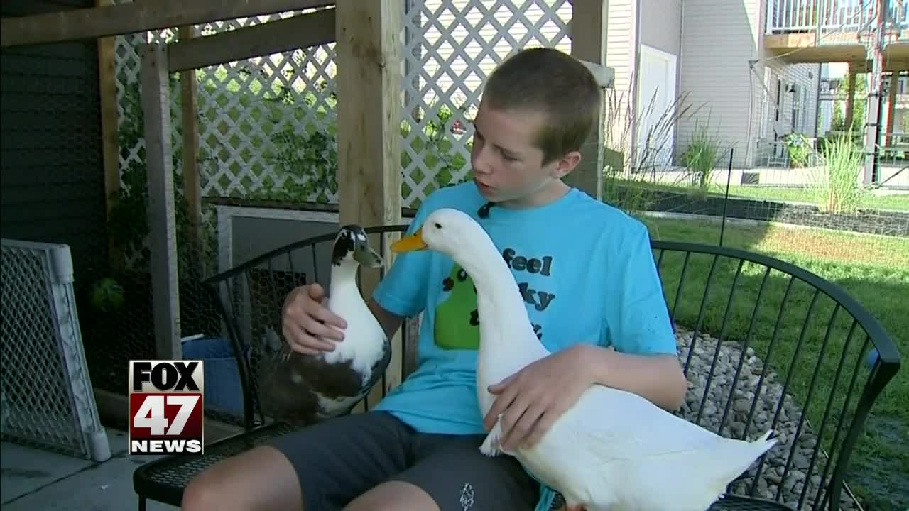 Michigan parents ordered to get rid of autistic son's ducks