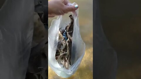 After a flood, the river is always full of garbage #floods