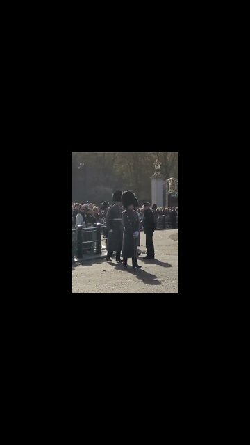 The kings guard Stuffels back #buckinghampalace