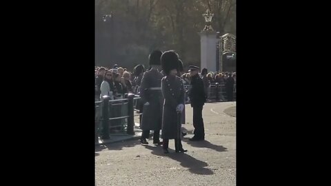 The kings guard Stuffels back #buckinghampalace