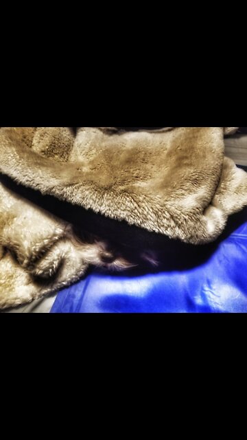 Amayiah's Absolute Path