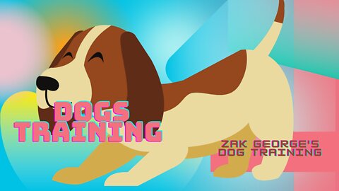 puppy building drive for pit bull bite work rag dog training sport protection | Dogs Training