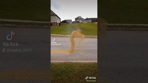 Walking Spaghetti