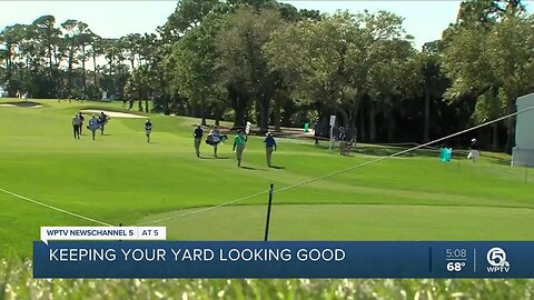 Honda Classic grounds crews explain how they keep the course in top condition