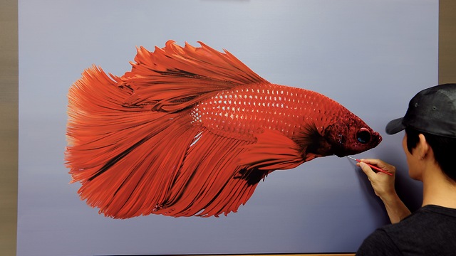 Red Betta