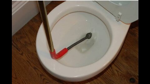 How to prevent toilet snake