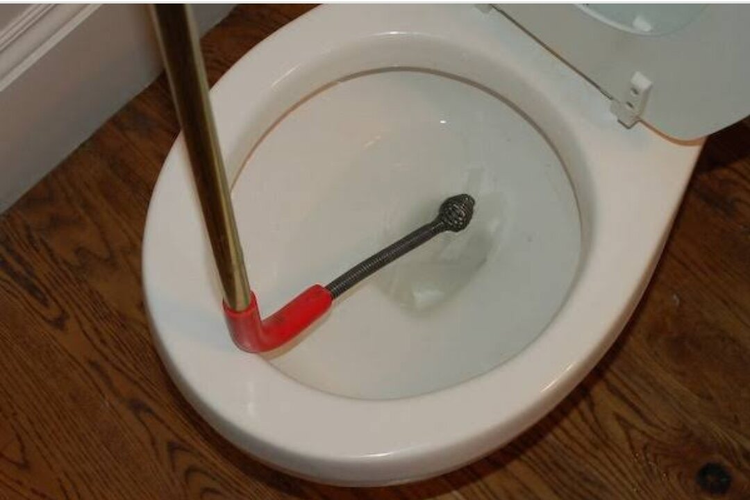 How to prevent toilet snake