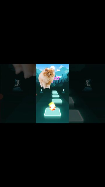 cat singing 2 phut hon part 1 #shorts #music #cat