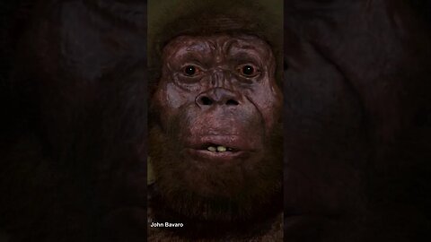 Evrimsel Bulmacanın Eksik Parçası: Homo naledi #shorts