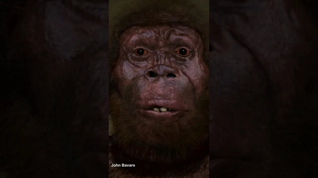 Evrimsel Bulmacanın Eksik Parçası: Homo naledi #shorts