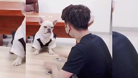 Cute baby funny animal video 🤩