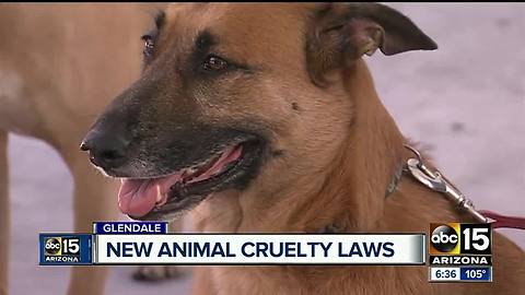 New laws in effect for Glendale pet owners