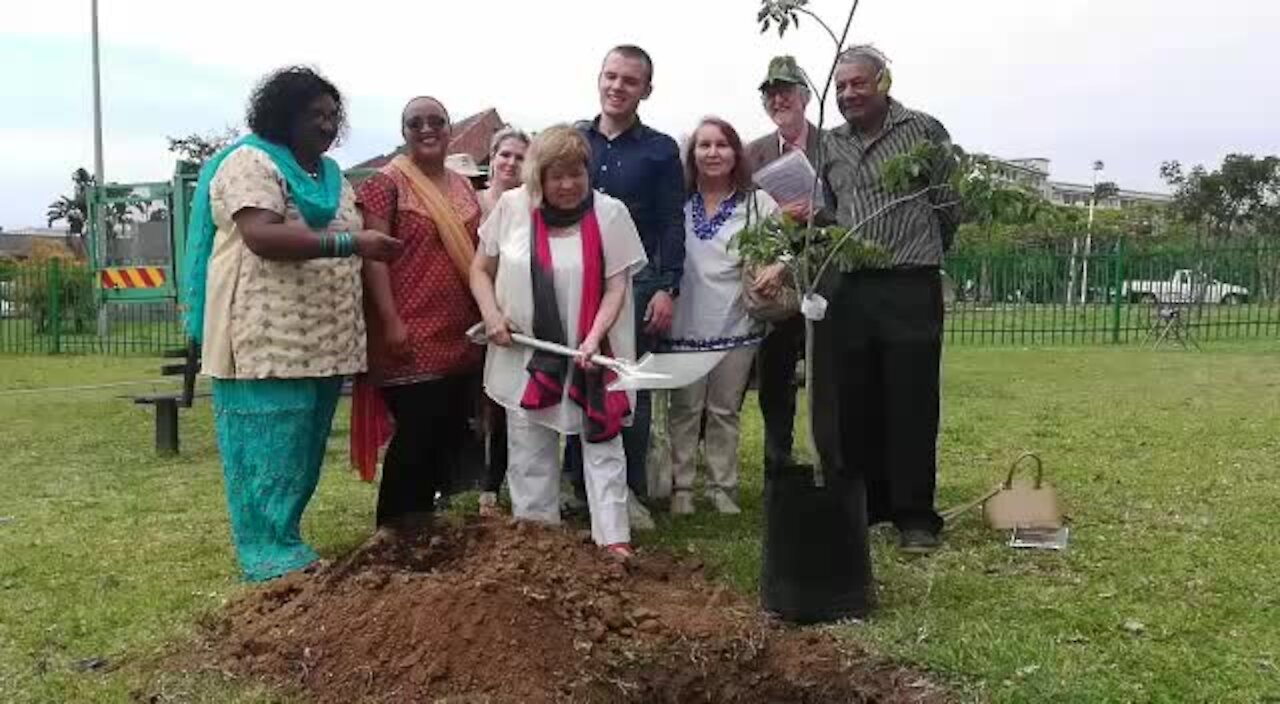 VIDEO: BRICS delegation plants trees in honour of Mandela, Gandhi (5Ab)