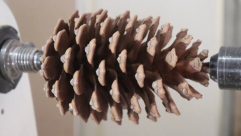 Wood Turning Pinecone Shakers