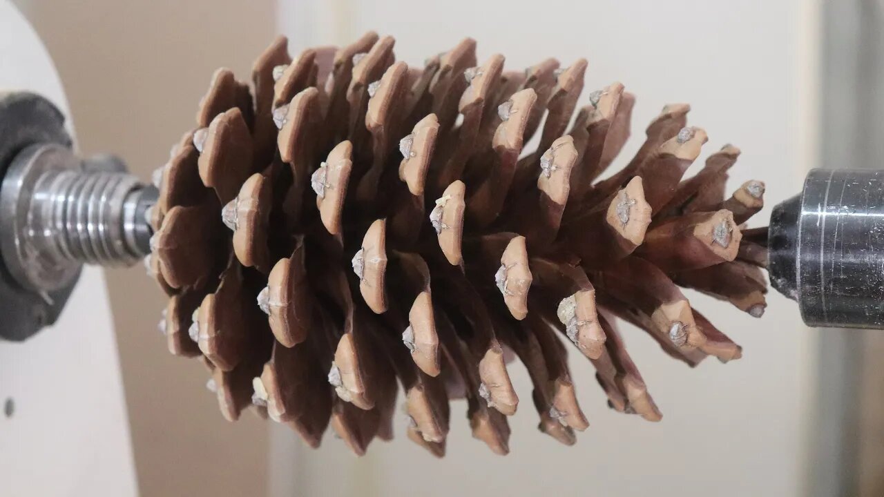 Wood Turning Pinecone Shakers