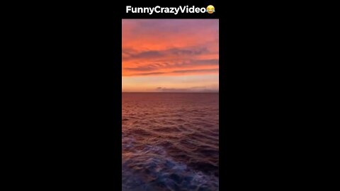 Mr FunnyCrazyVideo😂 Just Incredible Video Funny and Crazy #Like Follow for Follow 🥰