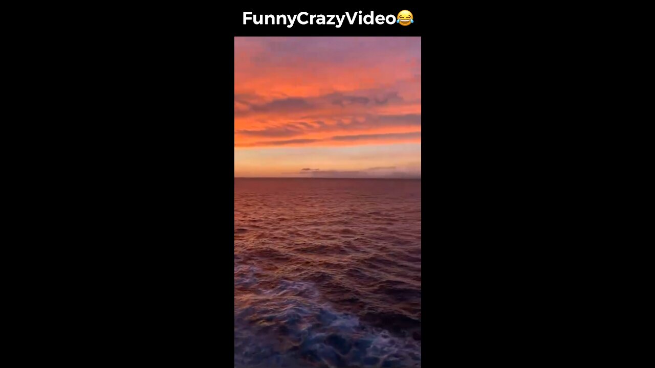 Mr FunnyCrazyVideo😂 Just Incredible Video Funny and Crazy #Like Follow for Follow 🥰