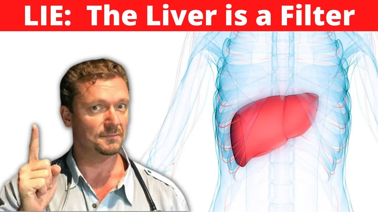 The Liver is NOT a Filter (Liver is a Safe Superfood)