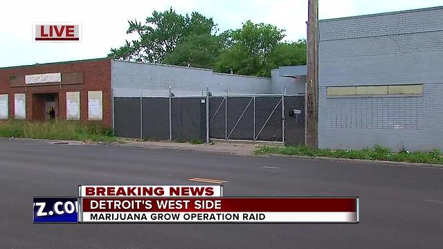 Police bust marijuana grow operation in Detroit