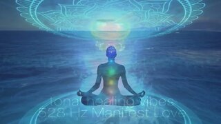 528Hz Manifest Love Quickly | Short Video