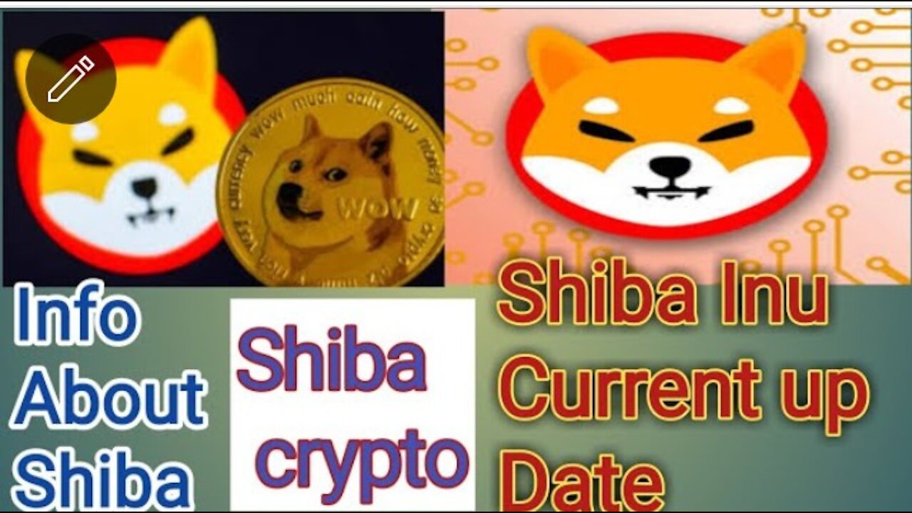 Shiba inu coin info|What is shiba inu coin|new update shiba inu coin