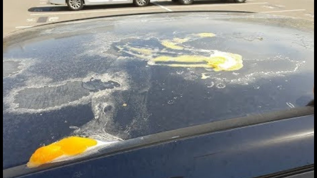 Frying Eggs On Car's Roof In 47 Degrees Celsius In Adelaide