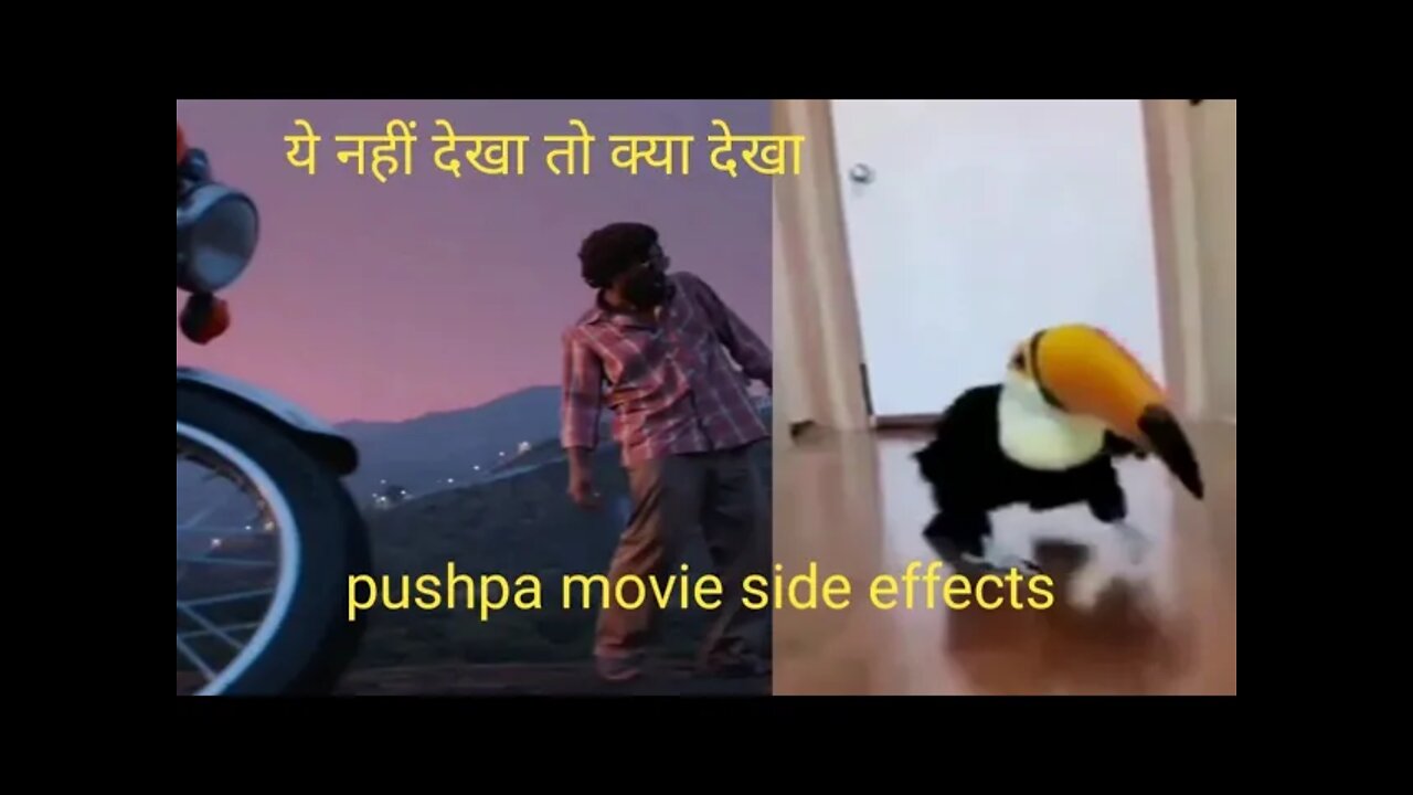 Pushpa Movie Side Effects