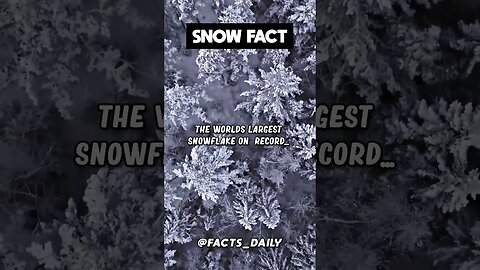 The Largest Snowflake In The World...