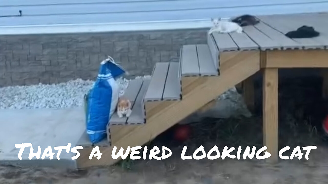 One of these is not like the others