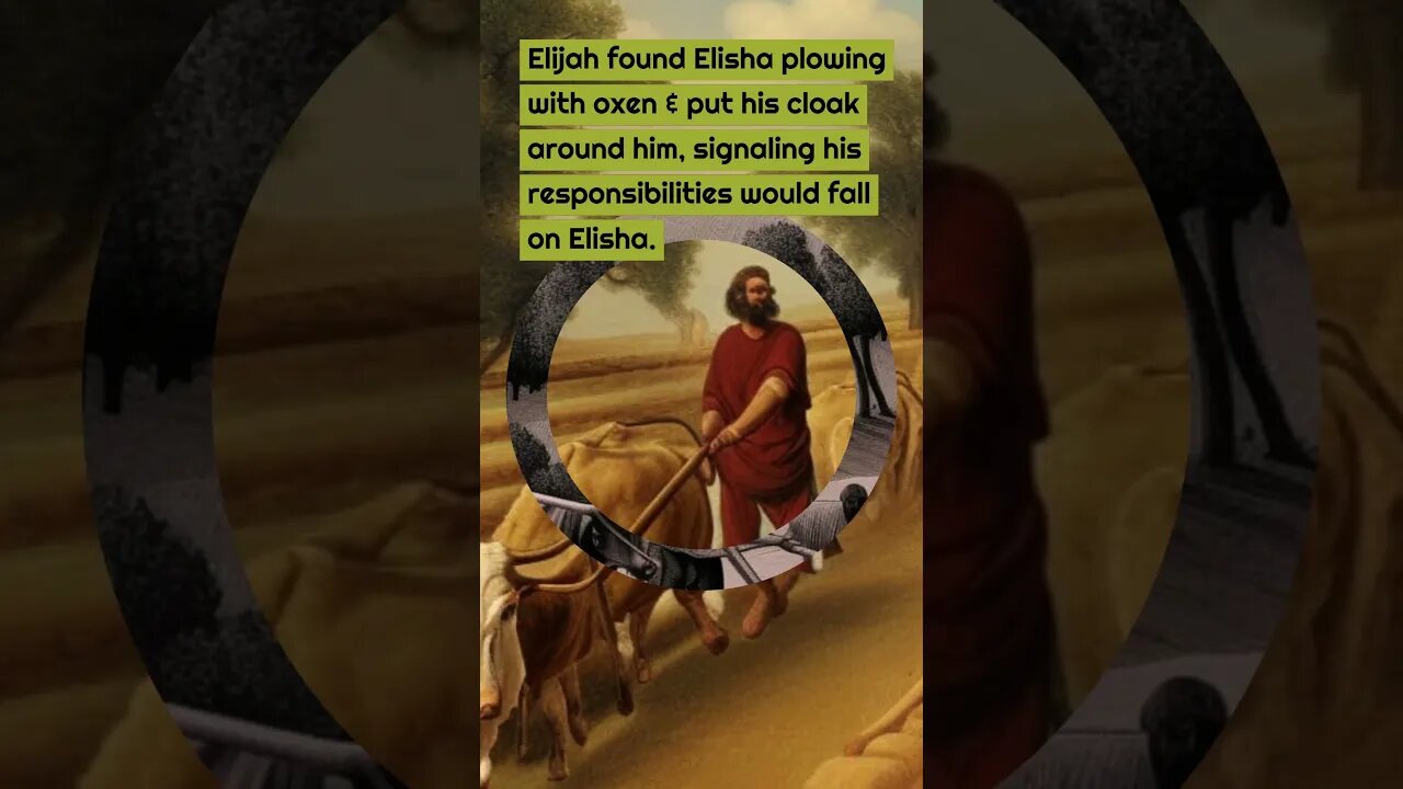 Elisha the prophet